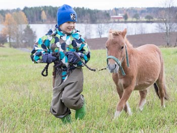 Kotieläimet