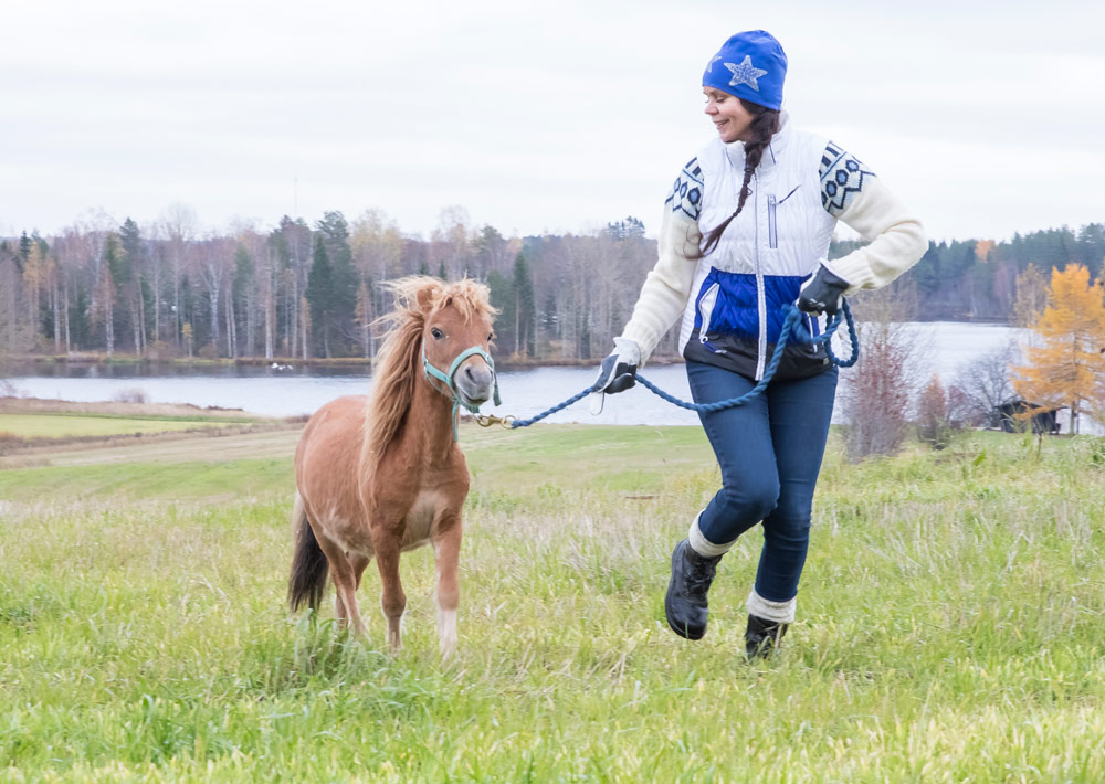 Ylämäen Virkistyslomat