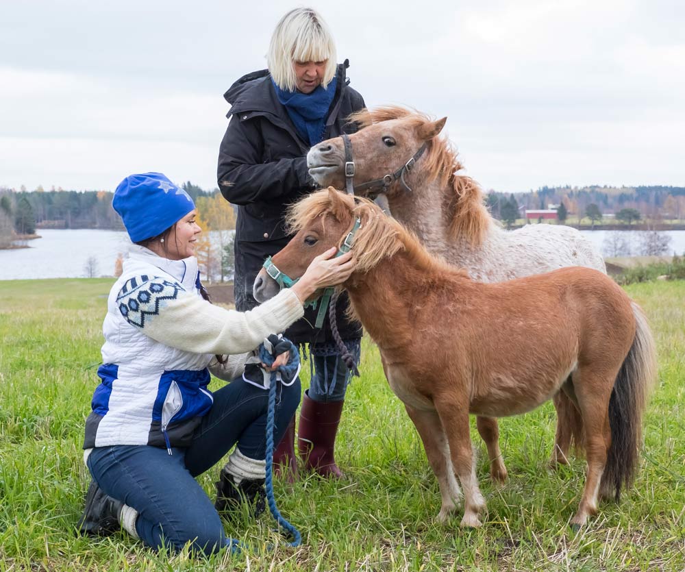 Ylämäen Virkistyslomat