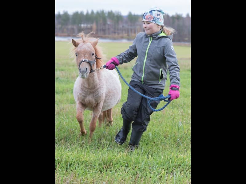 Ylämäen Virkityslomat - lapsi ja hevonen