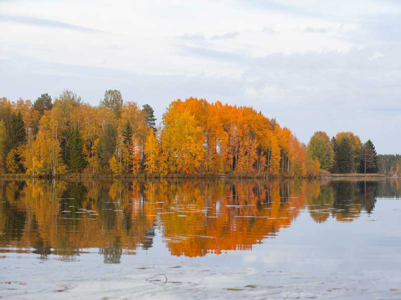 Ylämäen Virkityslomat - Syksyinen järvimaisema